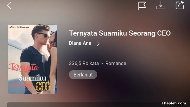 Novel Ternyata Suamiku Seorang CEO Full Bab