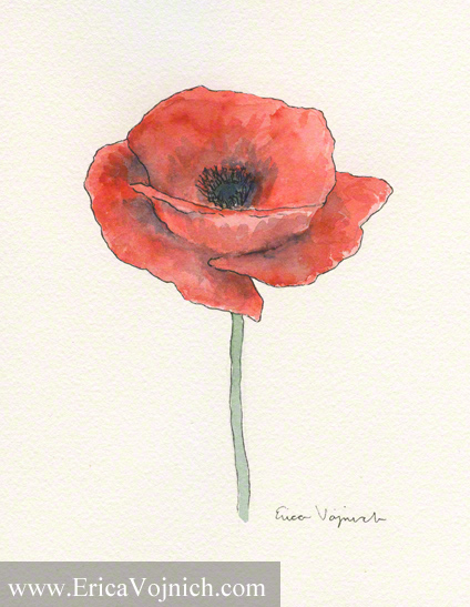 Red Poppy Watercolor