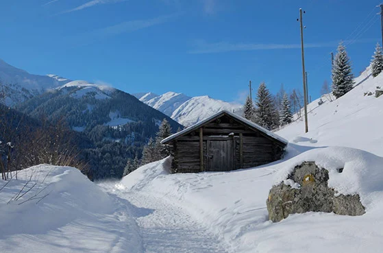 Landscape Switzerland Wallpaper Engine