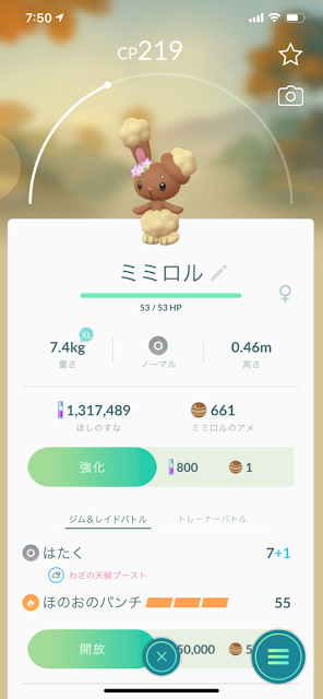 ポケモンGO:ミミロル（花飾り）