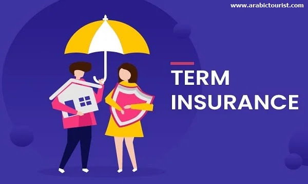What Is Term Life Insurance and How It Can Help You