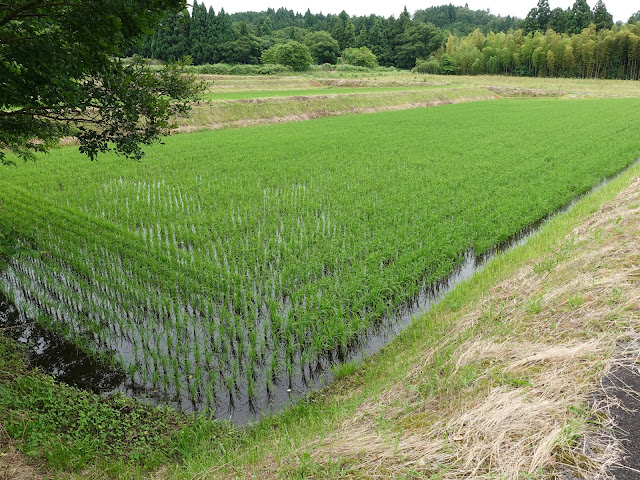 鳥取県西伯郡伯耆町福兼　福永集落