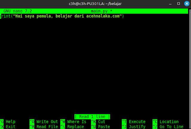 belajar python pertama