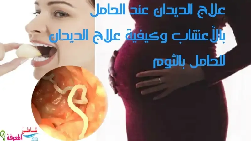 علاج الديدان عند الحامل بالأعشاب وطريقة علاج الديدان للحامل بالثوم