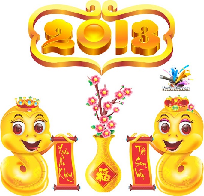 Happy New Year 2013 - Đón Xuân Quý Tỵ