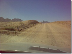 Ostrich chicks doing around 30km/ph