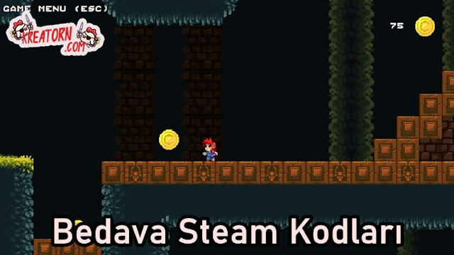 Researcher - Bedava Steam Kodları