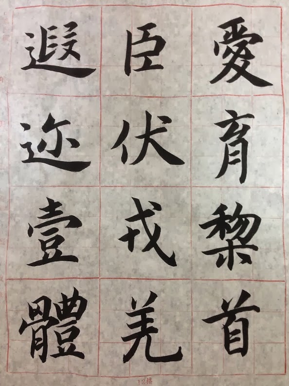 愛育黎首 臣伏戎羌 遐邇壹體