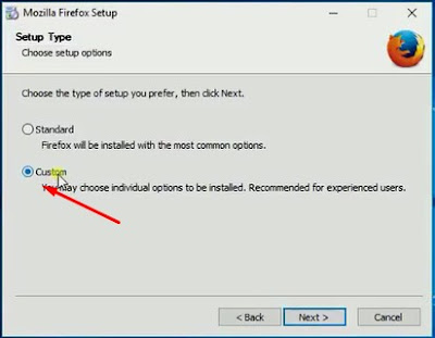 Custom and click Next