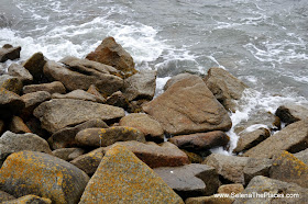 Wild Wicklow Tour in Dublin