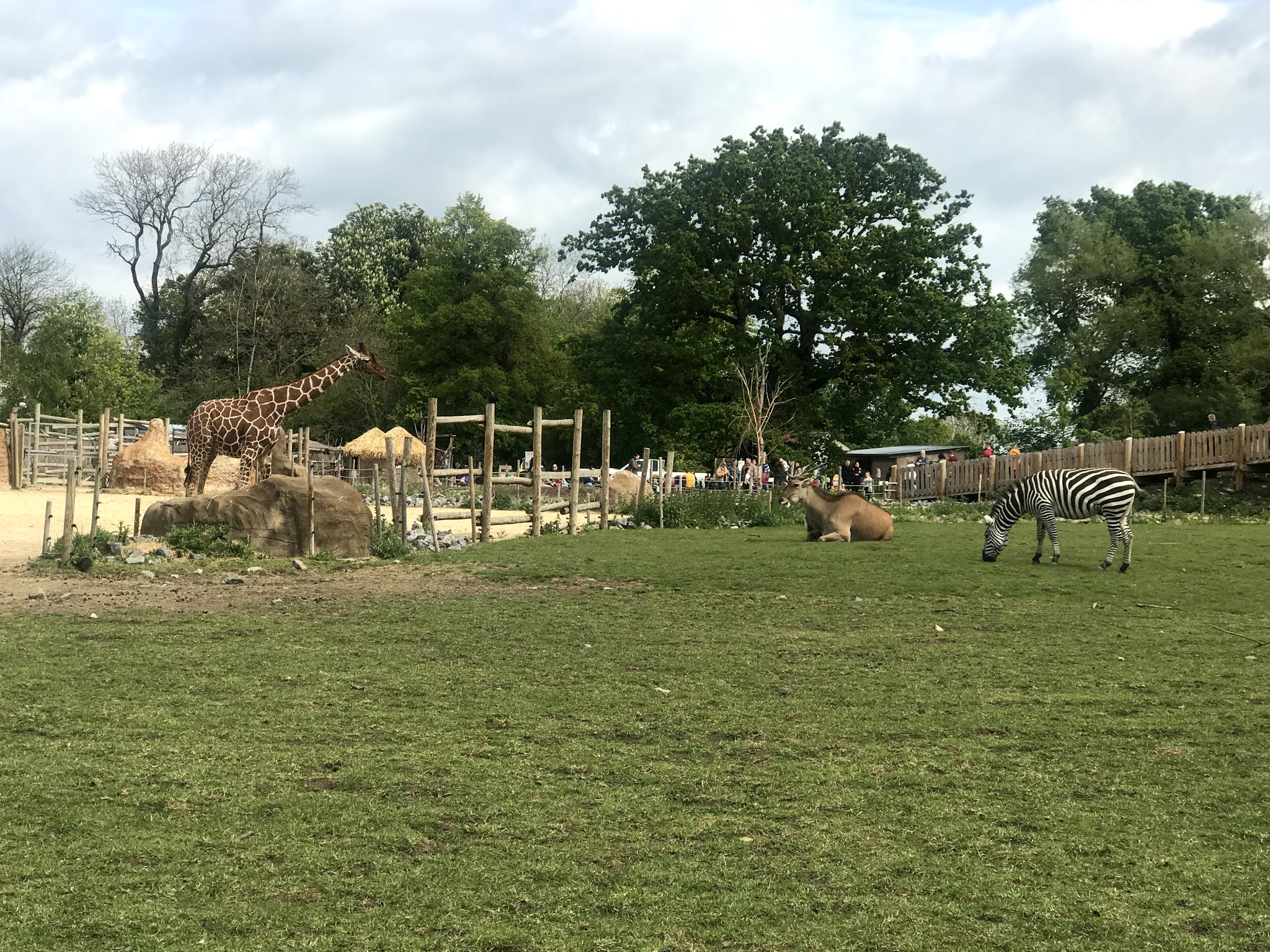 Beautiful Animals at Bristol's Wild Place - Day Trip