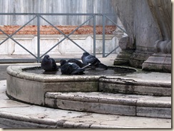 venice 014