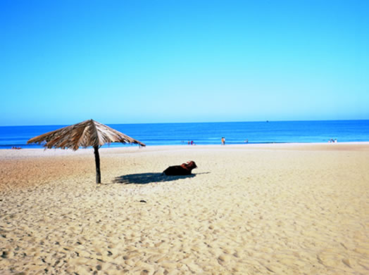 Pondicherry Beach