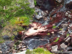 Gempar Gumpalan Misteri Disangka Makhluk Asing Di Pergunungan Scottish Highlands