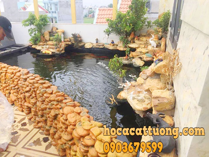 Những tiêu chuẩn phong thủy cần biết khi làm hồ cá koi trong nhà