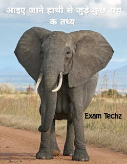 हाथी से जुड़े कुछ रोचक तथ्य