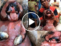 LAHIRNYA PUN BIKIN TERKEJUT....APALAGI NASIBNYA SEKARANG?? VIDEO BAYI ALIEN YANG MENGERIKAN NASIBNYA SEKARANG....