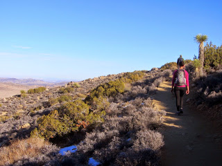 View southeast on Ryan Mountain Trail above the saddle, Joshua Tree National Park