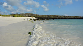 Gardner Bay Galapagos