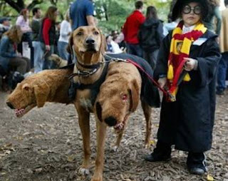 harry potter and three headed dog