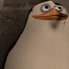 madagascar_penguin