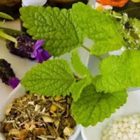 علاج القولون العصبي بالأعشاب: دليل شامل