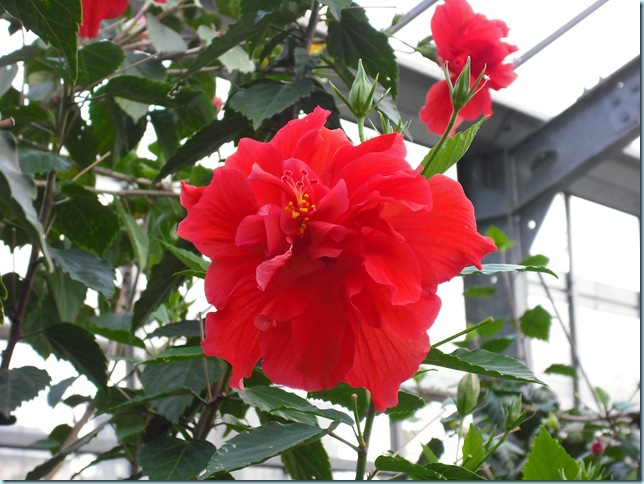 DSCF0053