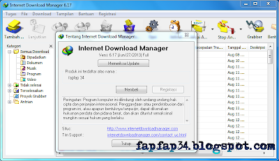 Screenshot IDM 6.17 build 11