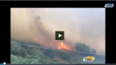 http://tgs.gds.it/2017/05/13/scirocco-e-non-solo-le-cause-degli-incendi-in-sicilia_665090/