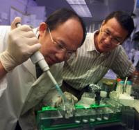 Dr. Lin Mei (right) and postdoctoral fellow Shiwen Luo. Credit: Phil Jones.