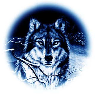 Blue Wolf Project