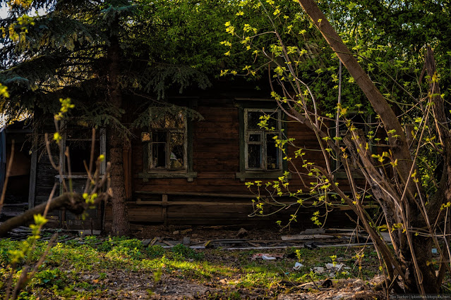 Заброшенный дом сквозь кустарник со свежей листвой