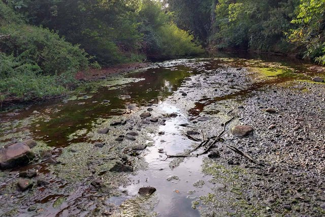 Sanepar adota rodízio em nove cidades do Oeste e Sudoeste