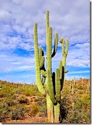 Sweetwater hike 060