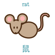 year of the rat