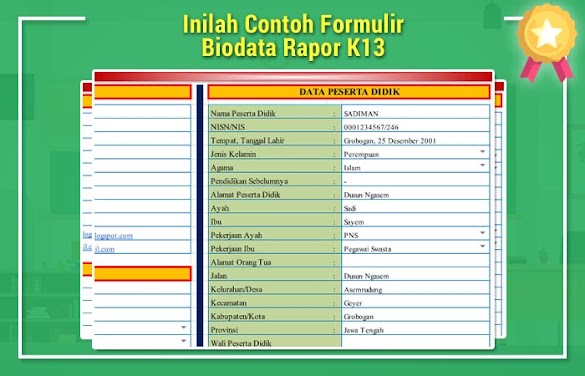 Inilah Pola Formulir Biodata Rapor K13