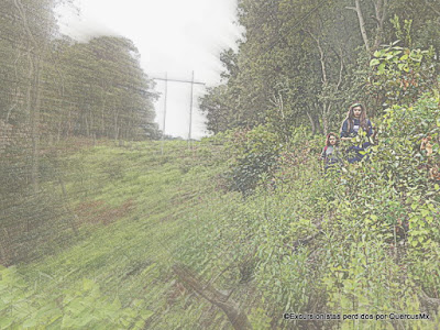 Bajando por el corte lineal sin bosque de la CFE en Cerro Viejo