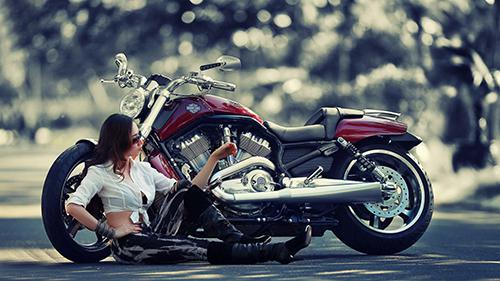 Photo Harley Davidson