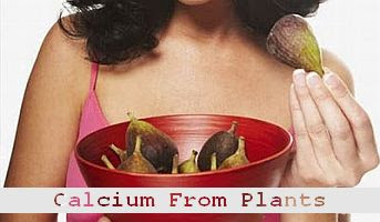 https://foreverhealthy.blogspot.com/2012/04/case-for-getting-calcium-from-plant.html#more