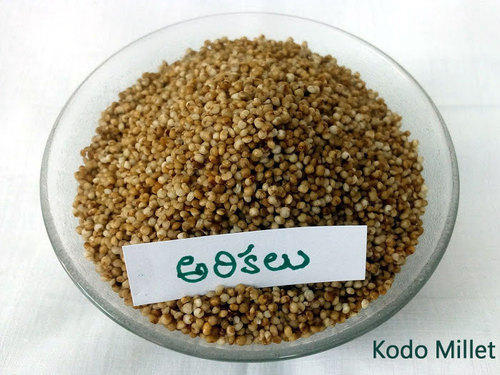 Kodo Millet