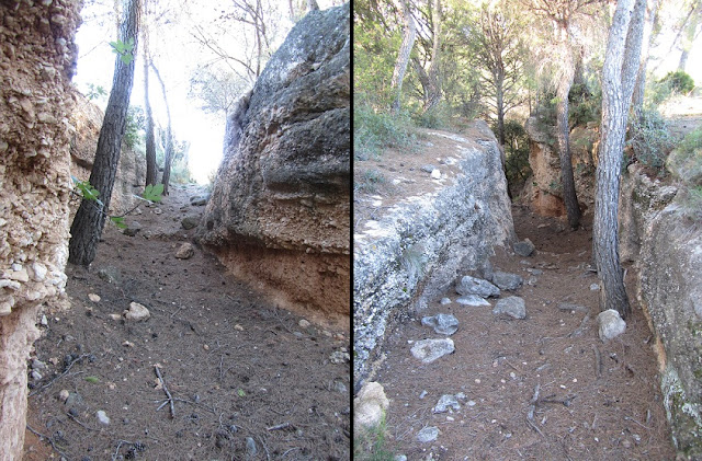 Trencacàntirs, torrent Mal a La Bisbal del Penedès