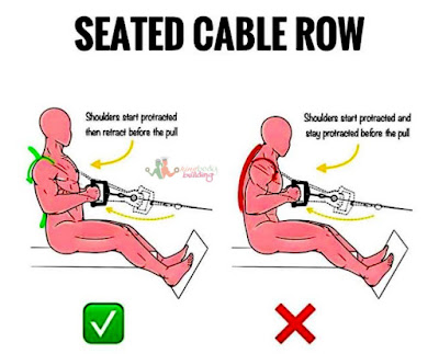 Correct V-Bar Seated Cable Row Tips