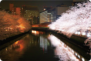 大横川護岸