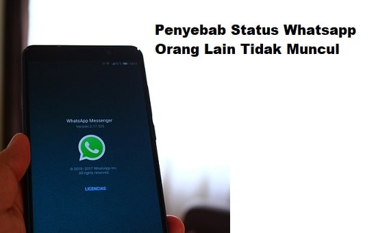 Penyebab Status Whatsapp Orang Lain Tidak Muncul
