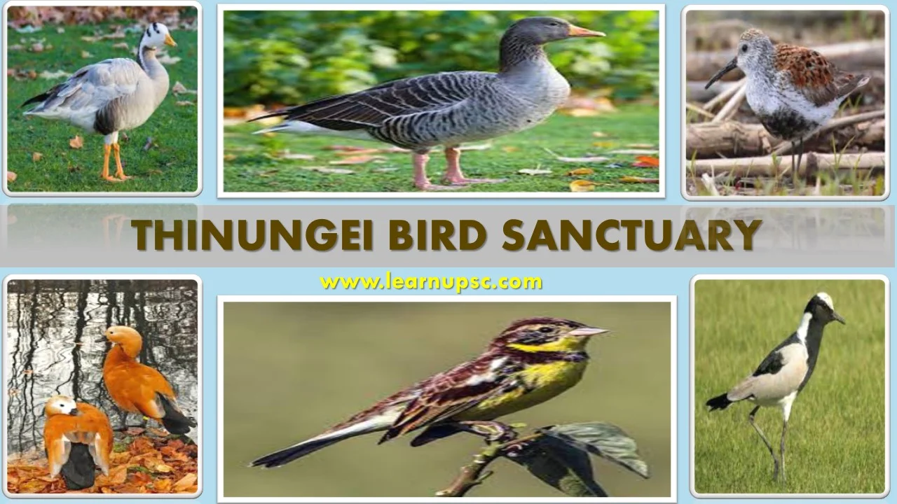 Thinungei Bird Sanctuary