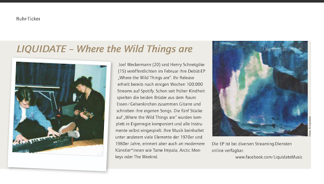 Liquidate-Music-Joel-Weckermann-Henry-Schnetgöke-Band-Münsterland-Magazin-Where-The-Wild-Things-Are