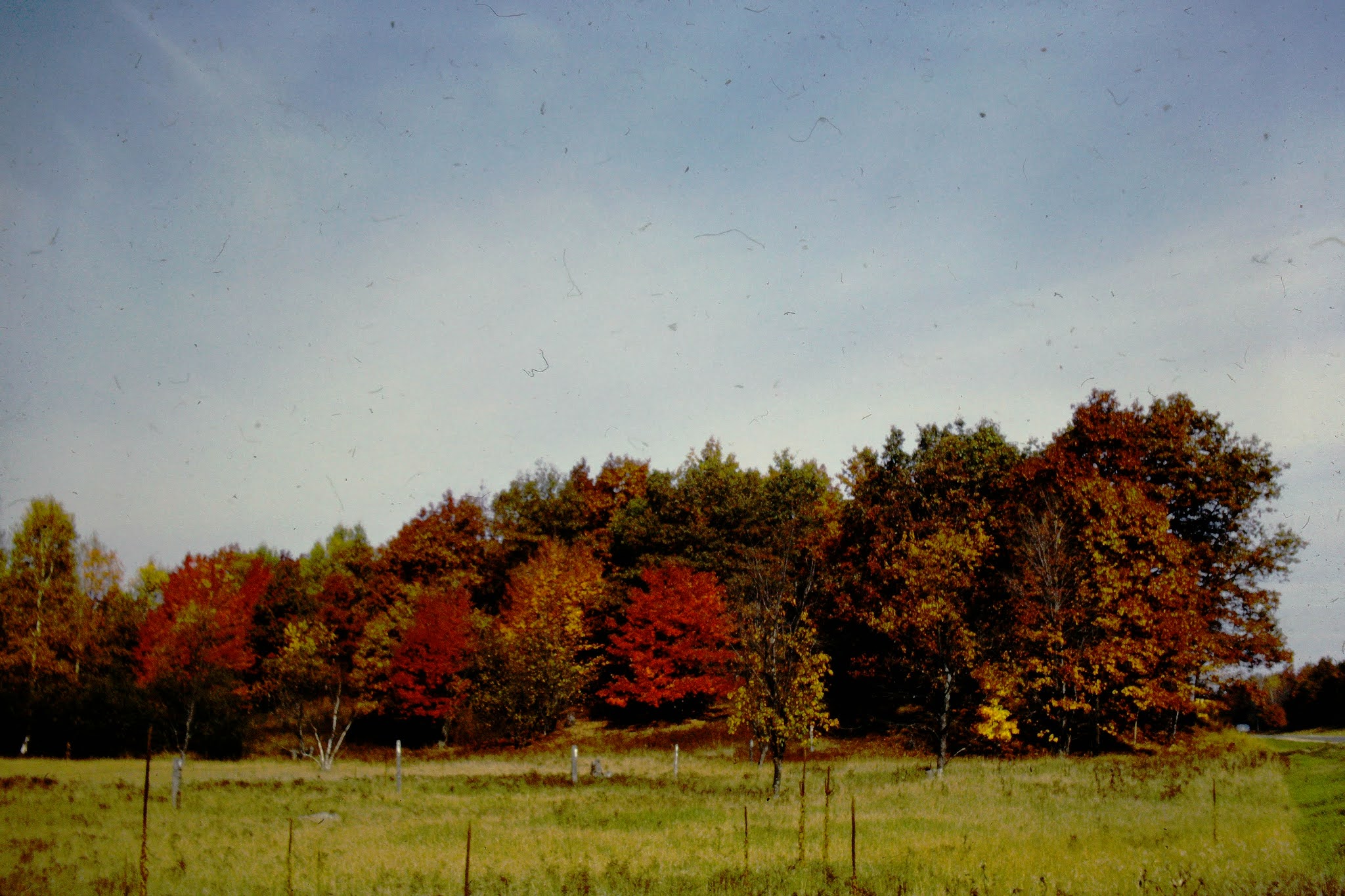 Autumn Michigan 1962