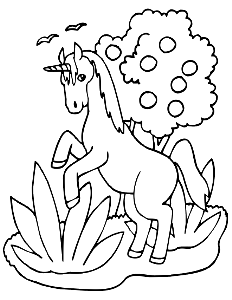 Unicorn_5 (12)