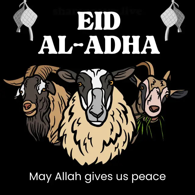 The Best Eid-Ul-Adha 2023 Images, Greetings Download Share