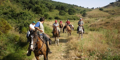 http://www.sicilyonhorseback.com